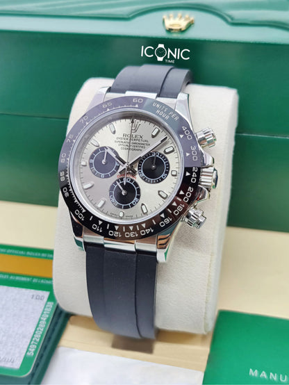 DAYTONA PANDA OYSTERFLEX